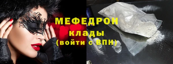 шишки Магас