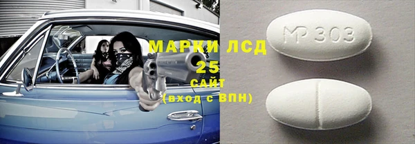 шишки Магас