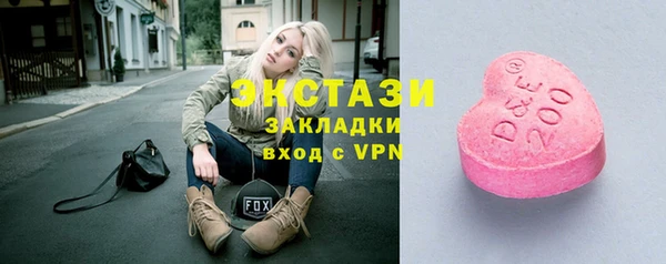 шишки Магас