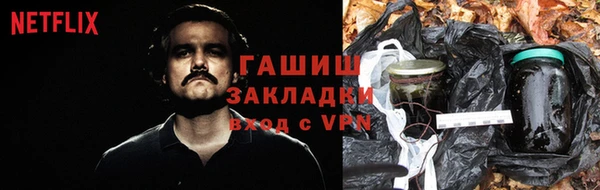 шишки Анжеро-Судженск