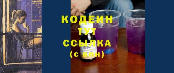 шишки Магас