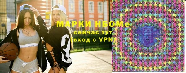 шишки Магас