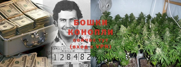 шишки Магас