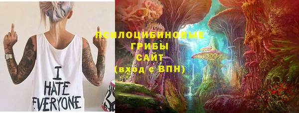 шишки Магас