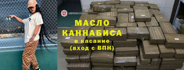 шишки Магас