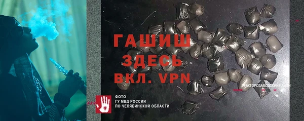 шишки Магас