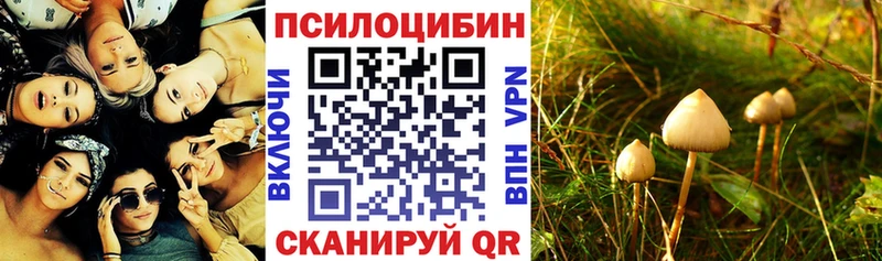 Галлюциногенные грибы прущие грибы  где купить наркоту  Строитель 