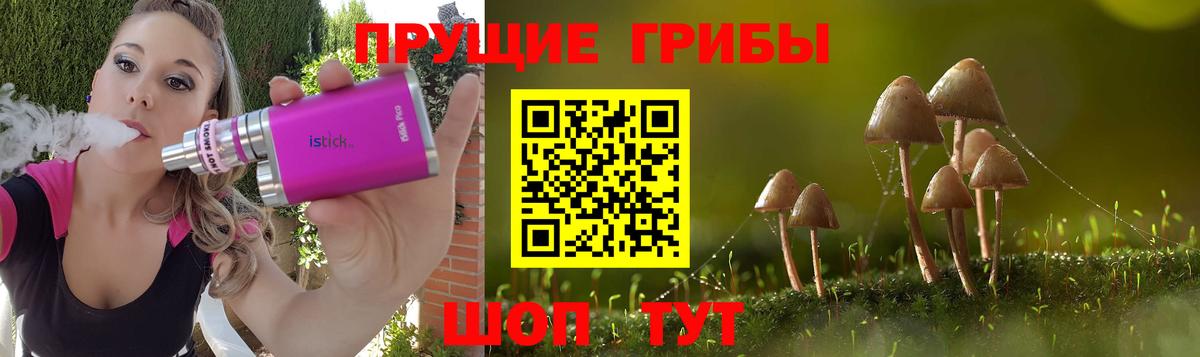 Строитель  Галлюциногенные грибы GOLDEN TEACHER  Вход с VPN 